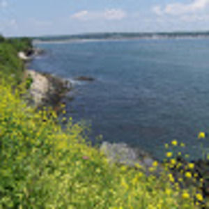 Meet your Posher, Daniela